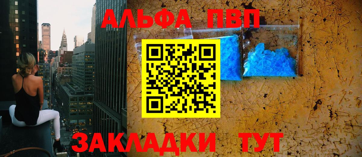 Alfa_PVP СК КРИС Сосновый Бор