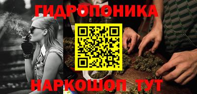 Альфа ПВП Партизанск